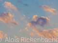 2012_08_22_201952-