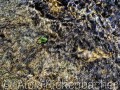 2021_06_27_030-
