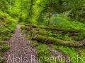 2026-06-10-017-