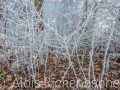2016_12_17_133819-