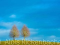 2018_12_20_154320-