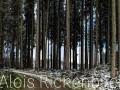 2025-11-23-008-