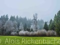 2025-12-04-002-