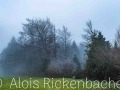 2025-12-04-010-