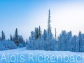 2016_01_10_001-