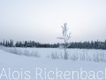 2016_01_11_005-