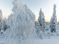 2016_01_12_011-