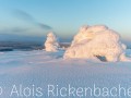 2016_01_12_015-