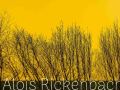 2014_12_23_164905-