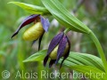 2011_05_08_114644-