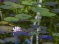 2014_05_13_175125-
