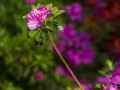 2014_05_17_092050-