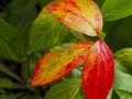 2014_10_16_105456-