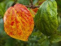 2014_10_16_105631-