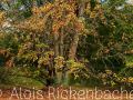 2014_10_16_105840-