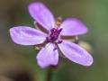 2015_03_28_100911-