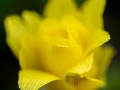 2015_03_29_094355-