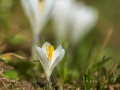 2015_04_12_151703-