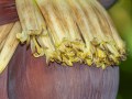 2015_09_13_145433-