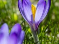 2016_04_10_145624-