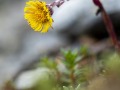 2016_06_18_114120-