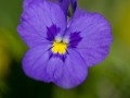 2017_06_18_104155-