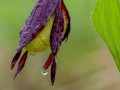2018_05_10_100547-