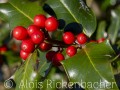 2020_11_22_001-