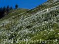 2025-05-16-013-