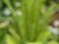 2025-05-04-038-