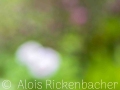 2025-05-04-046-