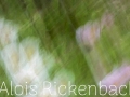2025-05-04-050-