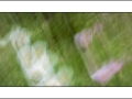 2025-05-04-050