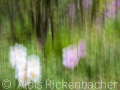 2025-05-04-052-