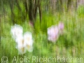 2025-05-04-053-