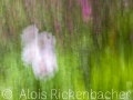 2025-05-04-055-