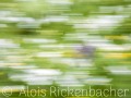 2025-05-16-019-
