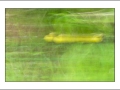 2025-05-24-006