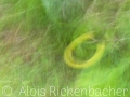 2025-05-24-007-