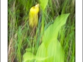 2025-05-24-010