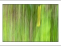 2025-05-24-011