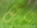2025-05-24-019-