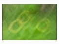 2025-05-24-019