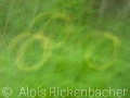 2025-05-24-020-