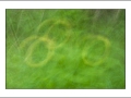 2025-05-24-020