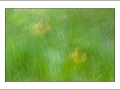 2025-05-24-029