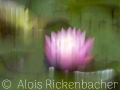 2025-08-06-001-
