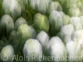 2025-08-06-012-