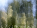 2025-08-06-013-