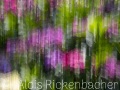 2025-08-06-015-